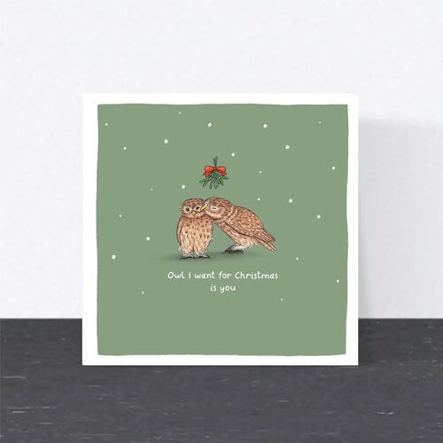 Funny Christmas Pun Card - Owl I want for Christmas is You