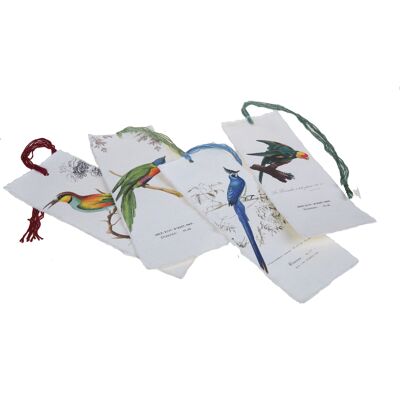 Pergamentpapier-Lesezeichen mit tropischem Vogel-, Papagei-, Eisvogel-Motiv ...