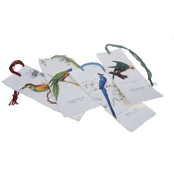 Marque-page en papier parchemin motif oiseau des tropiques perroquet martin pêcheur...