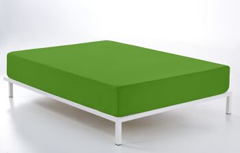 Drap-housse réglable vert - Lit 160 (hauteur 28 cm) - 50% coton / 50% polyester - 144 fils. Poids : 115 1