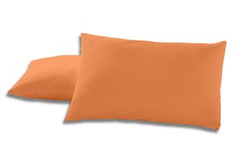 Lot de deux taies d'oreiller en coton couleur mangue - 50x80 cm - 100% coton - 144 fils - Housse et fermeture à rabat. Poids : 115