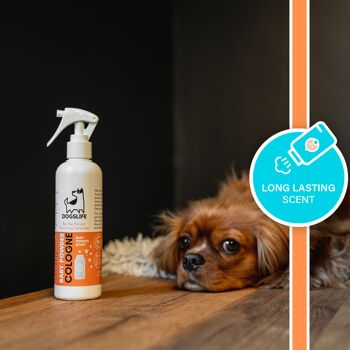 Spray pour chien parfumé à la poudre pour bébé 5