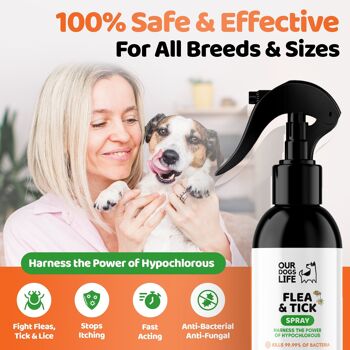 Spray anti-puces et tiques pour chiens 3