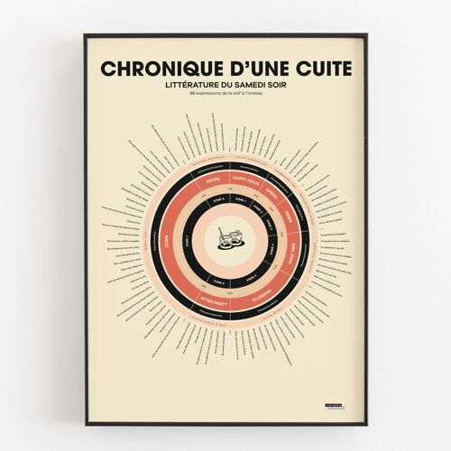 Affiche Chronique d'une cuite