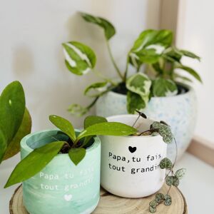 Cadeau Fête des Peres, Mini Pot Jesmonite Personnalisé, Inscription Papa