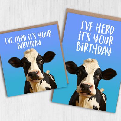 Carte anniversaire vache : j'ai un troupeau c'est ton anniversaire