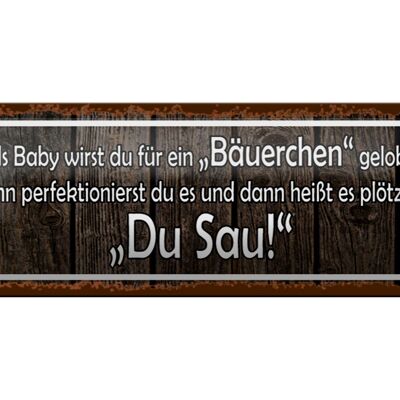 Blechschild Spruch 27x10cm als Baby für Bäuerchen gelobt Dekoration