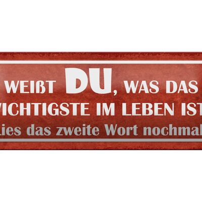 Blechschild Spruch 27x10cm weißt du was wichtigste im Leben Dekoration