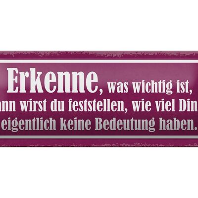 Blechschild Spruch 27x10cm erkenne was wichtig ist dann Dekoration