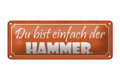 Blechschild Spruch 27x10cm du bist einfach der Hammer Dekoration