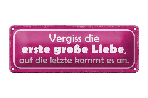 Blechschild Spruch 27x10cm vergiss die erste große Liebe Dekoration