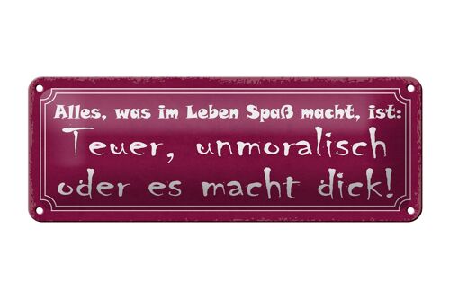 Blechschild Spruch 27x10cm alles was Spaß teuer unmoralisch Dekoration