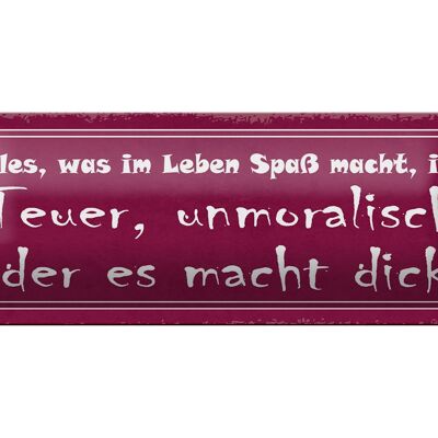 Blechschild Spruch 27x10cm alles was Spaß teuer unmoralisch Dekoration