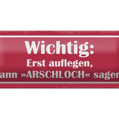 Blechschild Spruch 27x10cm erst auflegen dann Arschloch Dekoration