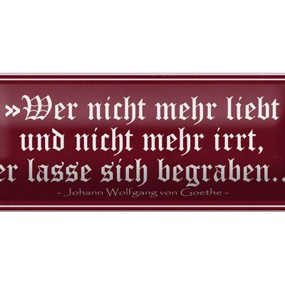 Blechschild Spruch 27x10cm wer nicht mehr liebt und irrt Dekoration