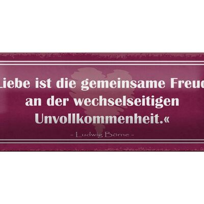 Blechschild Spruch 27x10cm Liebe ist die gemeinsame Freude Dekoration