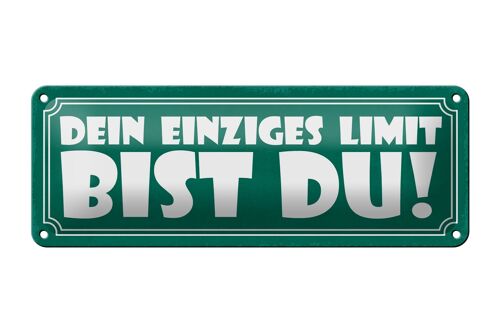 Blechschild Spruch 27x10cm dein einziges Limit bist Du Dekoration