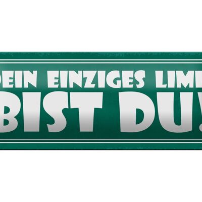 Blechschild Spruch 27x10cm dein einziges Limit bist Du Dekoration