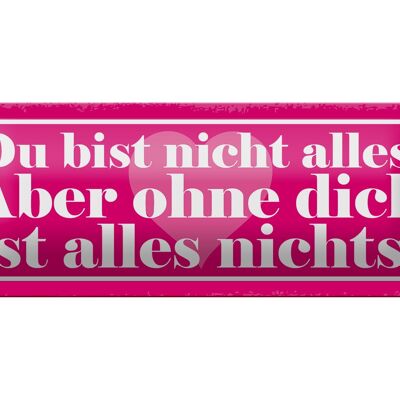 Blechschild Spruch 27x10cm du bist nicht alles aber ohne Dekoration