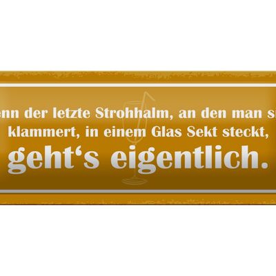 Blechschild Spruch 27x10cm Strohhalm in einem Glas Sekt Dekoration