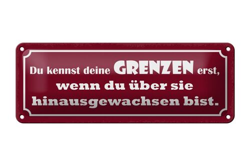 Blechschild Spruch 27x10cm kennst deine Grenzen erst wenn Dekoration