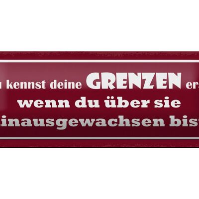 Blechschild Spruch 27x10cm kennst deine Grenzen erst wenn Dekoration