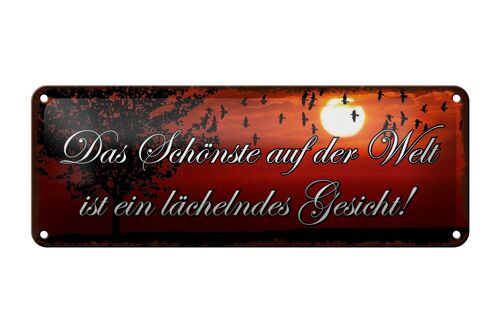 Blechschild Spruch 27x10cm das schönste lächelndes Gesicht Dekoration