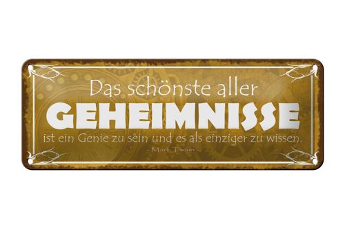 Blechschild Spruch 27x10cm Genie sein und einzige wissen Dekoration