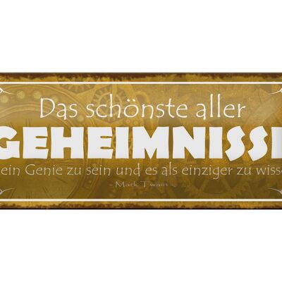 Blechschild Spruch 27x10cm Genie sein und einzige wissen Dekoration