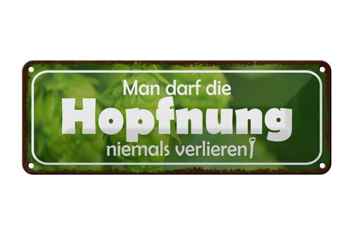 Blechschild Spruch 27x10cm darf Hopfnung niemals verlieren Dekoration