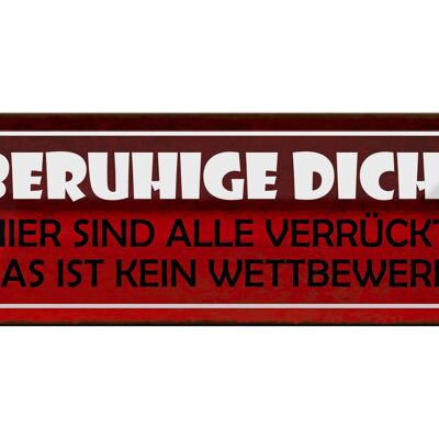 Blechschild Spruch 27x10cm beruhige dich hier sind alle verrückt