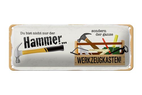 Blechschild Spruch 27x10cm Du bist nicht nur Hammer sondern Dekoration