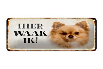 Plaque en tôle avec inscription « Dutch Here Waak ik Chihuahua » 27 x 10 cm 1