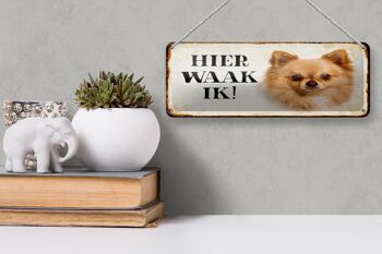 Plaque en tôle avec inscription « Dutch Here Waak ik Chihuahua » 27 x 10 cm 3