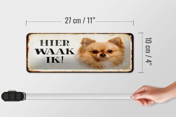 Plaque en tôle avec inscription « Dutch Here Waak ik Chihuahua » 27 x 10 cm 4