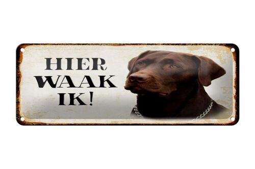 Blechschild Spruch 27x10 cm holländisch Hier Waak ik brauner Labrador