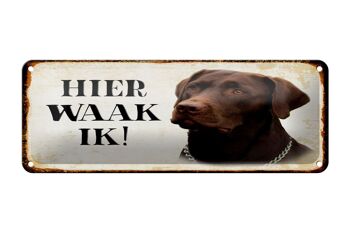 Plaque en tôle disant 27x10 cm Dutch Here Waak ik brown Labrador 1