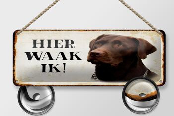 Plaque en tôle disant 27x10 cm Dutch Here Waak ik brown Labrador 2