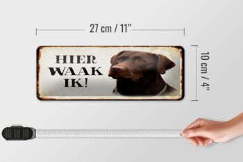 Plaque en tôle disant 27x10 cm Dutch Here Waak ik brown Labrador 4