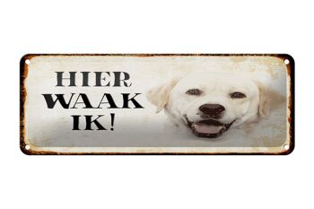 Plaque en tôle disant 27x10 cm Dutch Here Waak ik décoration Labrador beige 1