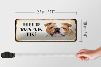 Plaque en tôle avec inscription « Dutch Here Waak ik Bulldog » 27 x 10 cm. 4