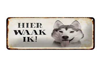 Plaque en étain avec inscription « Dutch Here Waak ik » Husky de Sibérie, 27x10 cm, décoration 1