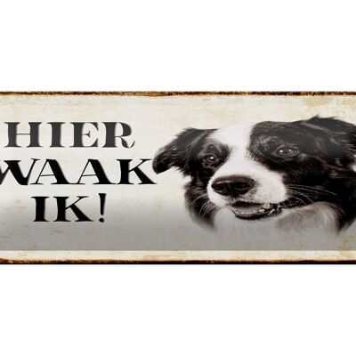 Cartel de chapa con texto 27x10 cm Decoración Dutch Here Waak ik Border Collie