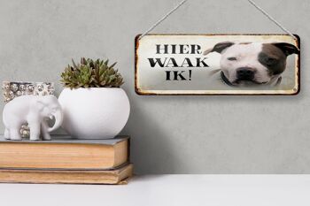 Plaque en tôle avec inscription « Dutch Here Waak ik American Pitbull Terrier » 27 x 10 cm 3