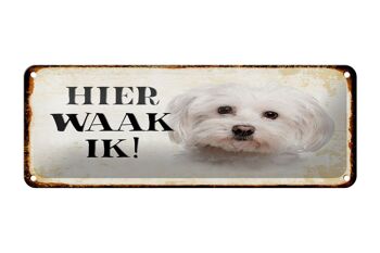 Plaque en tôle avec inscription « Dutch Here Waak ik Maltezer » 27 x 10 cm. 1