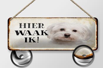 Plaque en tôle avec inscription « Dutch Here Waak ik Maltezer » 27 x 10 cm. 2