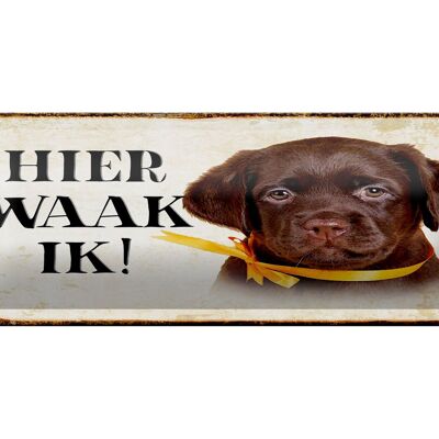Targa in metallo con scritta "Dutch Here Waak ik Labrador Puppy" 27x10 cm