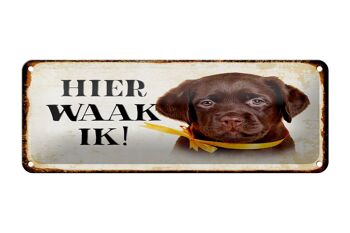 Plaque en tôle avec inscription « Dutch Here Waak ik Labrador Puppy » 27 x 10 cm. 1