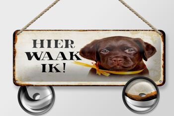 Plaque en tôle avec inscription « Dutch Here Waak ik Labrador Puppy » 27 x 10 cm. 2