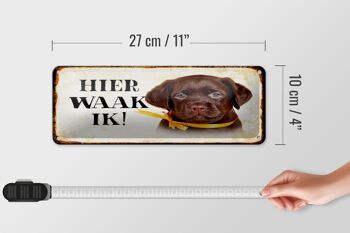 Plaque en tôle avec inscription « Dutch Here Waak ik Labrador Puppy » 27 x 10 cm. 4
